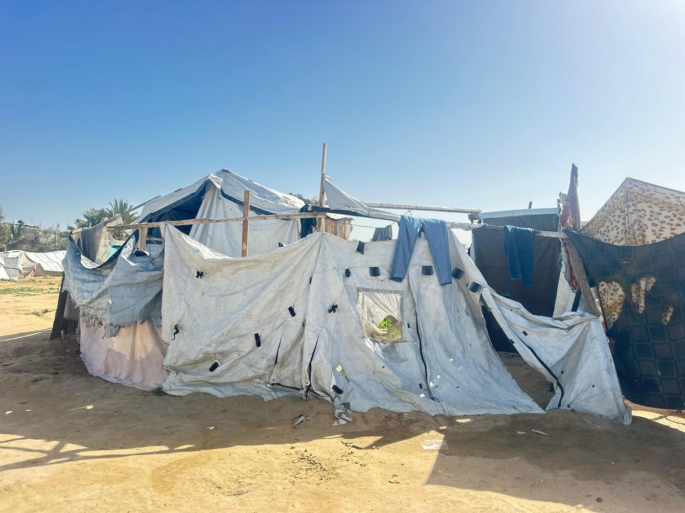 Ett provisoriskt tält i Gaza, uppfört av presenningar och annat tillgängligt material.