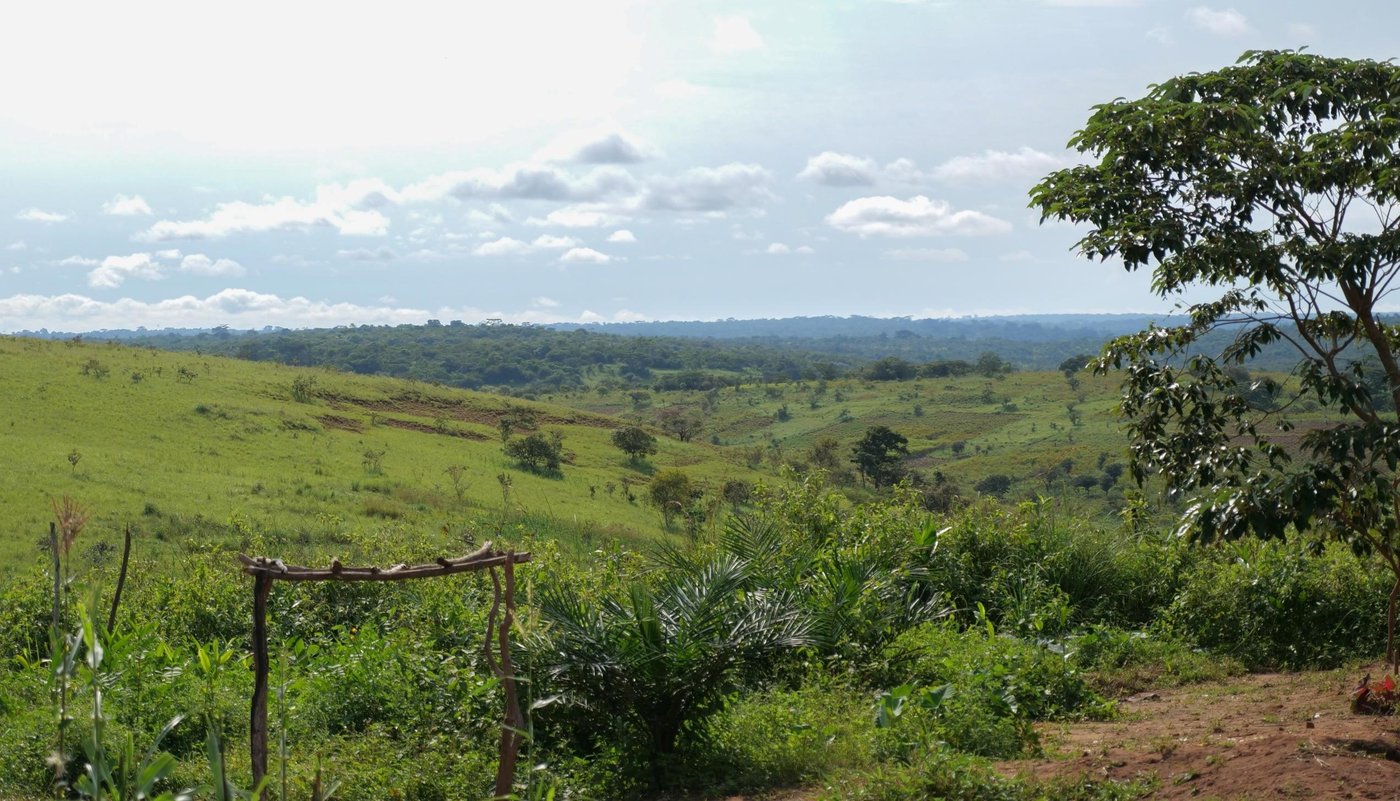 This vast expanse of greenery in Kasaï-Central, DR Congo.