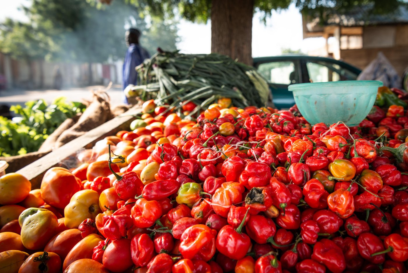 Fruit salesman, Babagana Malam Idrissa (35),  in Maiduguri, Nigeria. 2018
Photo: Beate Simarud/NRC