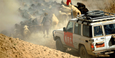 En bil med NRC Flyktinghjälpens logotyp