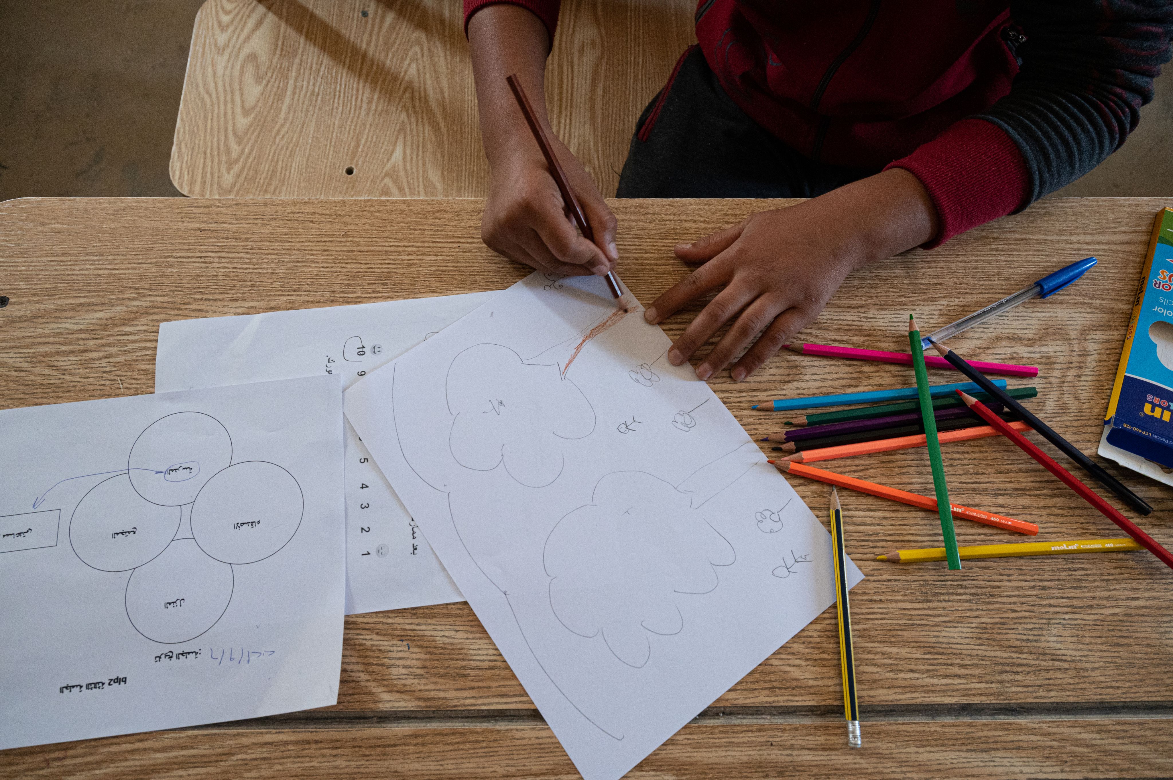 A Syrian refugee child draws a tree in the classroom