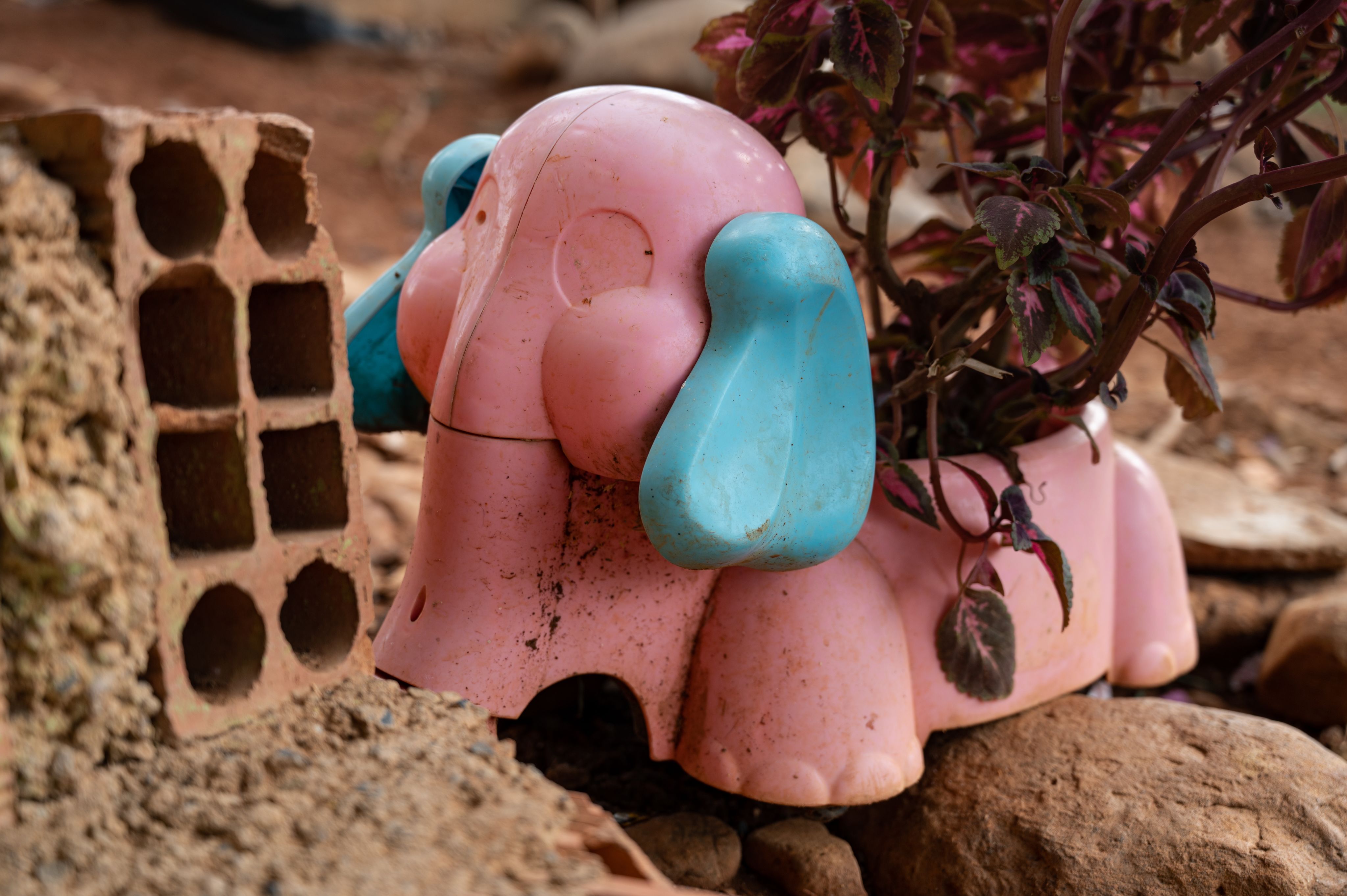 A pink and blue elephant toy has been repurposed to a plant pot. The plant is green and dark red.