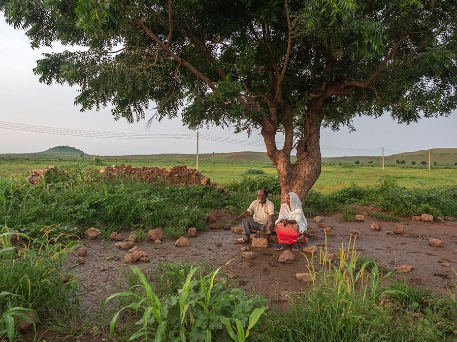A couple sitting under a large tree. They are both looking towards their right.