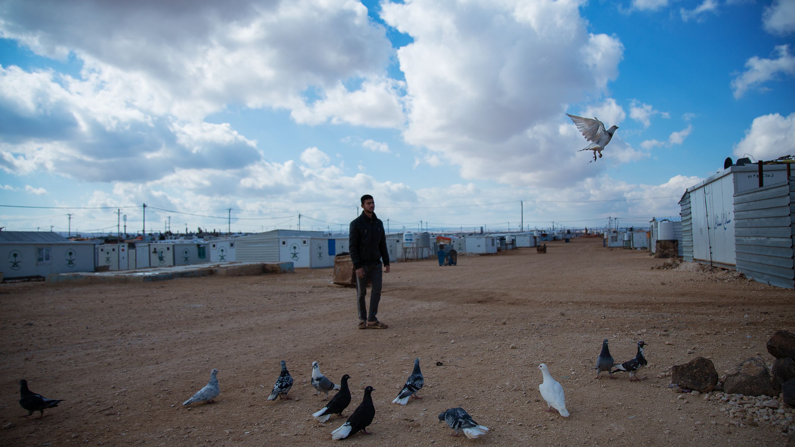 A young man, a pigeon breeder, stands in the middle of Zaatari camp, Joran.